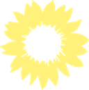 Sonnenblume