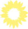 Sonnenblume